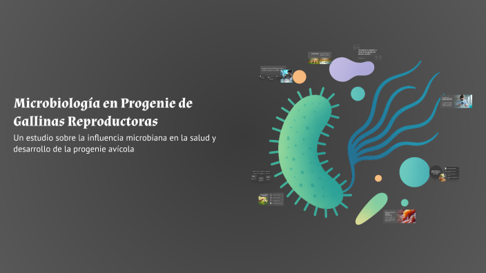Progenie Microbiología en Progenie de Gallinas Reproductoras by kelly calderon ...