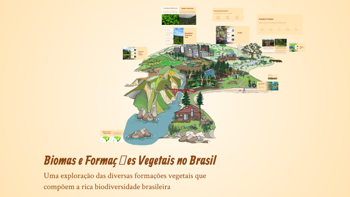 Biomas e Formaçōes Vegetais no Brasil by Ruan Silva on Prezi