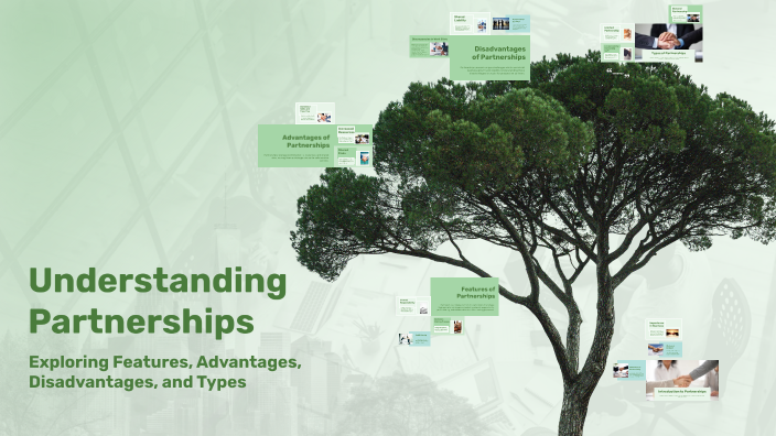 Understanding Partnerships by Lpn Yasaswini on Prezi