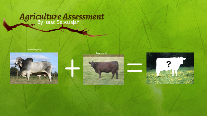 Agriculture Assessment By Isaac Selvarajah On Prezi