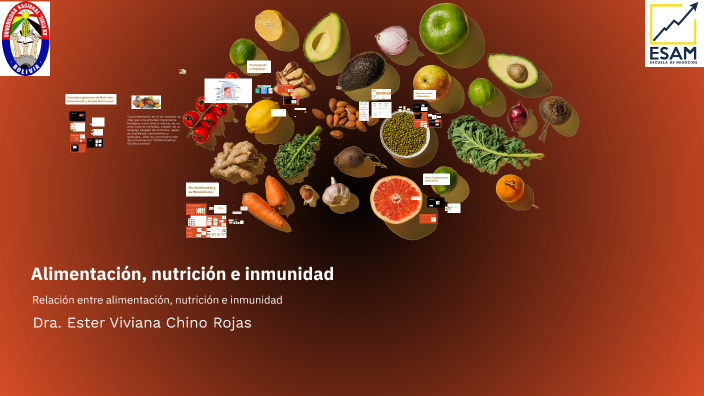 Bases fisiológicas y bioquímicas de la nutrición by Ester Chino on Prezi