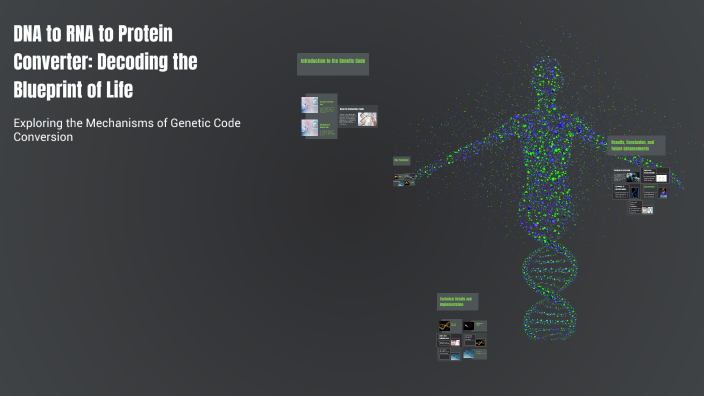 DNA to RNA to Protein Converter: Decoding the Blueprint of Life by ...