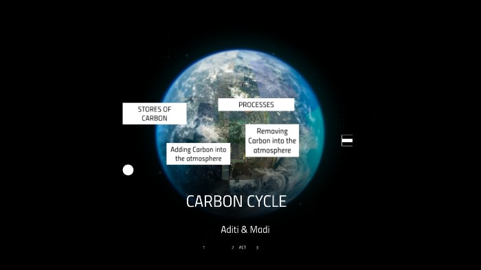 The Carbon Cycle by Aditi Patel on Prezi