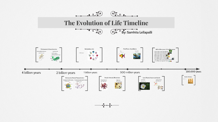 Evolution Timeline by Abs Gnl on Prezi
