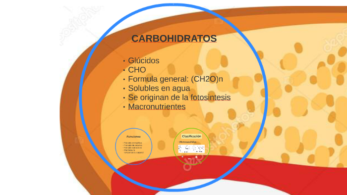 Determinación De Carbohidratos By Sheryll Cárdenas On Prezi 5751