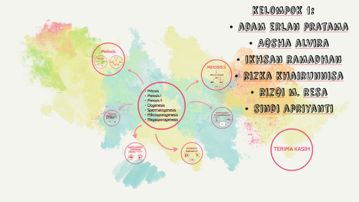 Mitosis By Sindi Apriyanti On Prezi