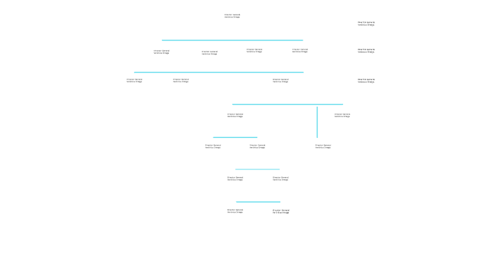 Estructura Organizativa by on Prezi