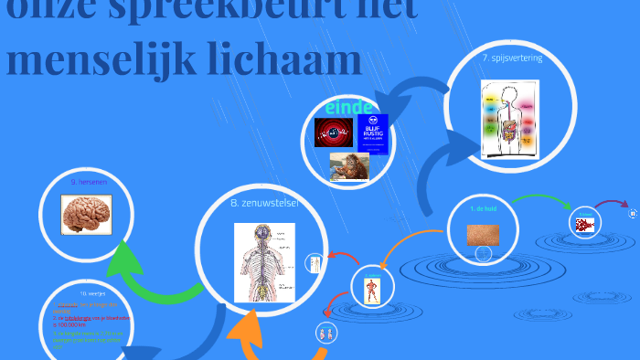 onze spreekbeurt het menselijk lichaam by Thonie Louwersheimer on Prezi