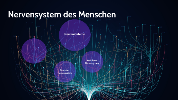 Nervensystem by Justin Breuer on Prezi