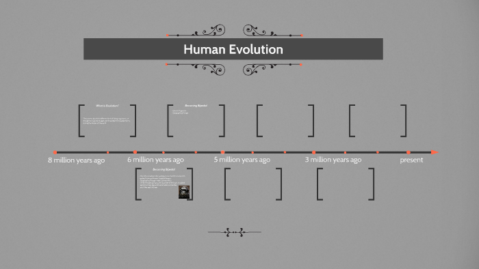 Human Evolution by Sam Ballester on Prezi