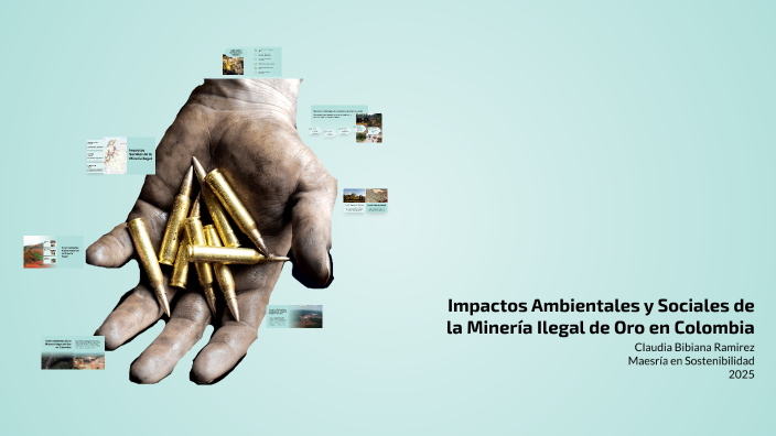 Impactos Ambientales y Sociales de la Minería Ilegal de Oro en Colombia ...