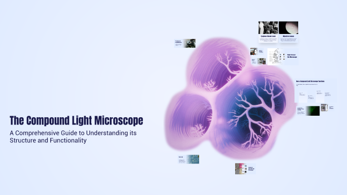 The Compound Light Microscope by ROMULO JR. IDO on Prezi