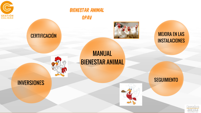 BIENESTAR ANIMAL JORNADA DE CAPACITACION 2022 by MIRIAM ARBELAEZ on Prezi Next BIENESTAR ANIMAL JORNADA DE CAPACITACION 2022 by MIRIAM ARBELAEZ on Prezi Next
