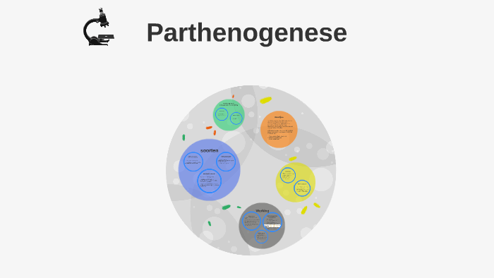 Parthenogenese Aus Dem Lexikon – Parthenogenese Beim Menschen – TRLP