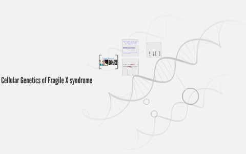 Cellular Genetics of Fragile X syndrome by israa salem on Prezi