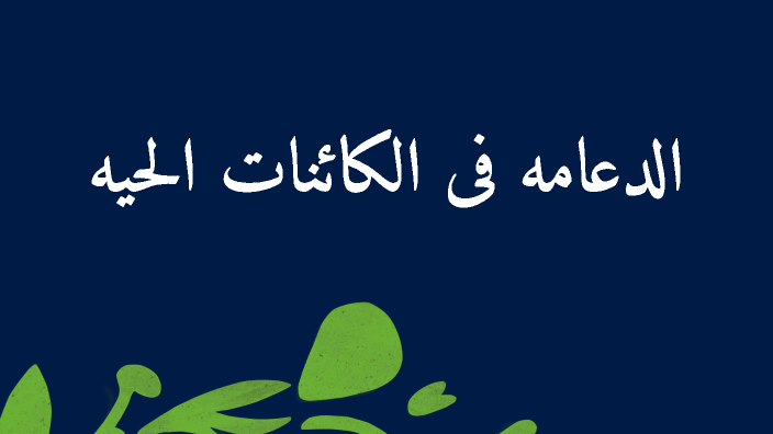 by asmaa asmer on Prezi