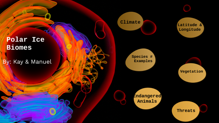 Polar Ice Biome by Kaydence Leyva on Prezi