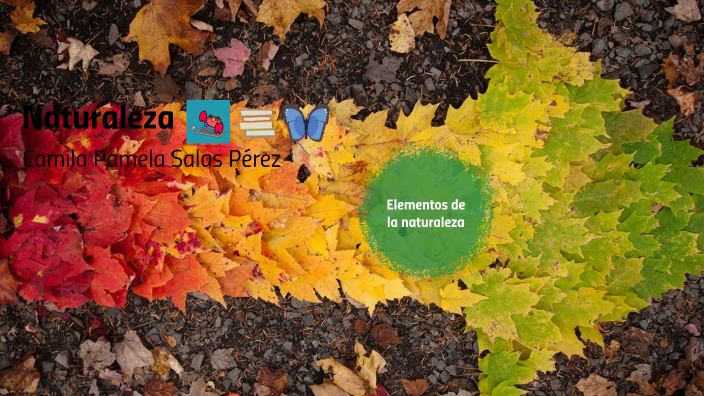 Practica Prezi para examen by Camila Salas Pérez on Prezi