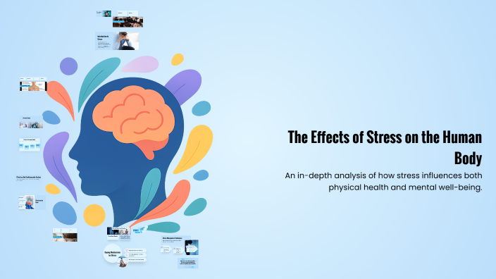 The Effects of Stress on the Human Body by Natalie Yousef on Prezi