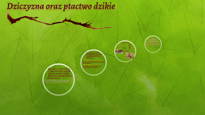 Sprawdzian Z Drób I Ptactwo Dzikie Technologia Dziczyzna oraz ptactwo dzikie by kacper kubas on Prezi