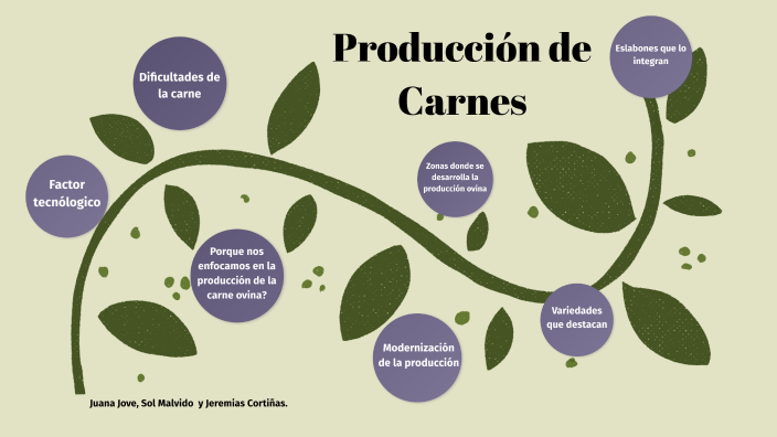 Circuitos Productivos - Carnes by Solchaaa Amiguesss:)) on Prezi