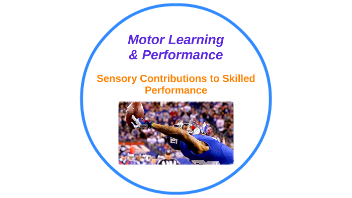 Sensory Contributions To Skilled Performance By Chee Hoi Leong On Prezi