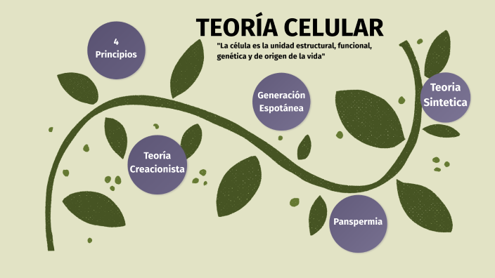 Mapa conceptual teoría celular by Miriam Rc on Prezi Next