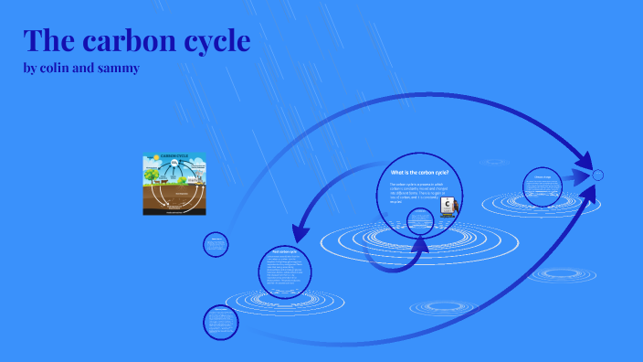 The carbon cycle by colin louis on Prezi