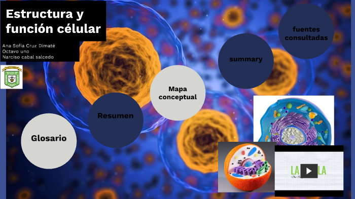 ESTRUCTURA Y FUNCION CELULAR by ana sofia cruz on Prezi