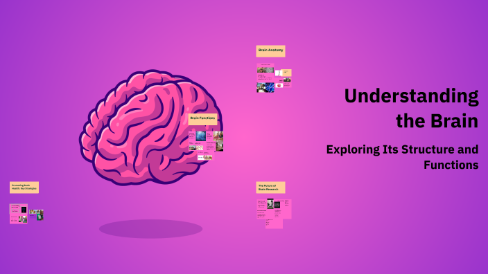 Understanding the Brain by mohamed tariq on Prezi