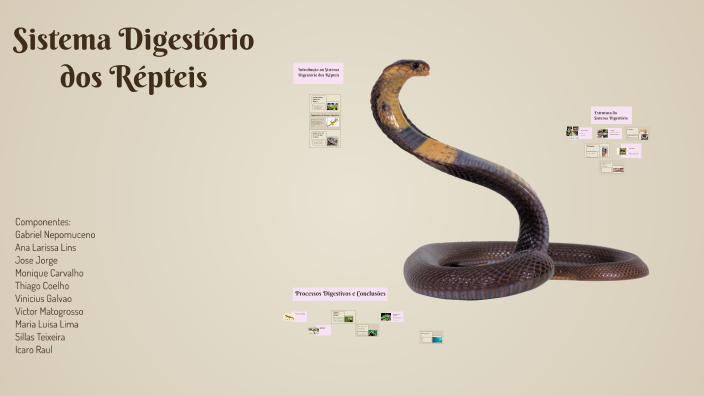 Sistema Digestório dos Répteis by Vinícius Galvão on Prezi