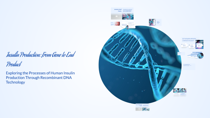 Insulin Production: From Gene to End Product by krishtee maurick on Prezi