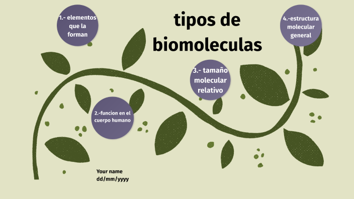 tipos de biomoleculas by Vanessa Jacqueline Vázquez Pérez on Prezi