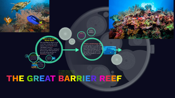 THE GREAT BARRIER REEF by Anna Dinh on Prezi