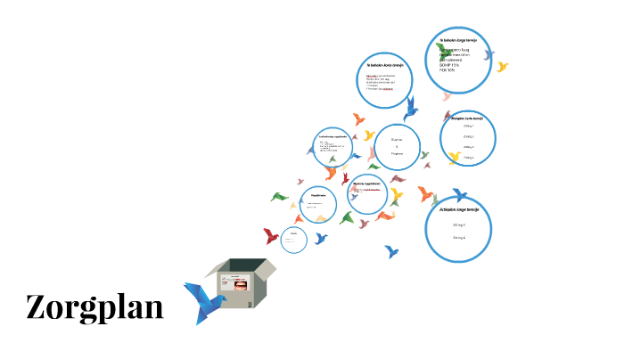 Zorgplan Map Zorgplan by Willemijn Buter on Prezi