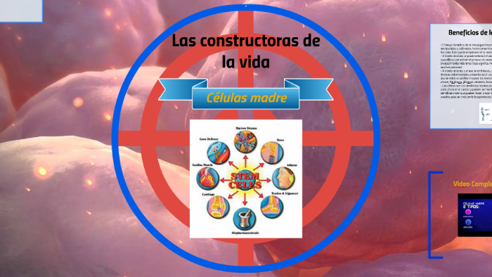 Las constructoras de la vida by Bastian Maldonado on Prezi
