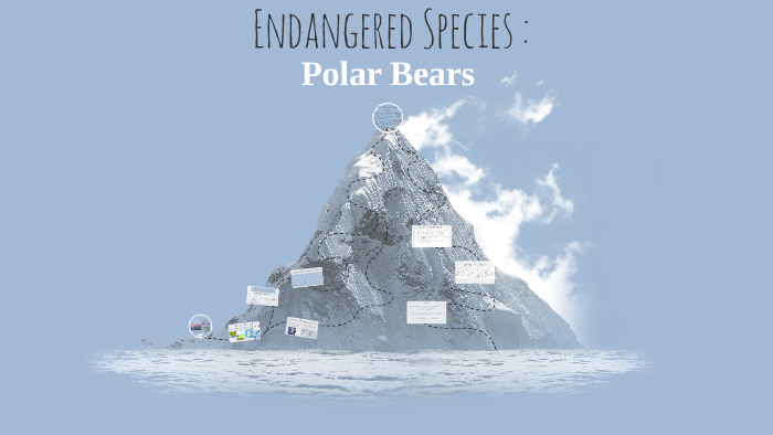Endangered Species : by on Prezi