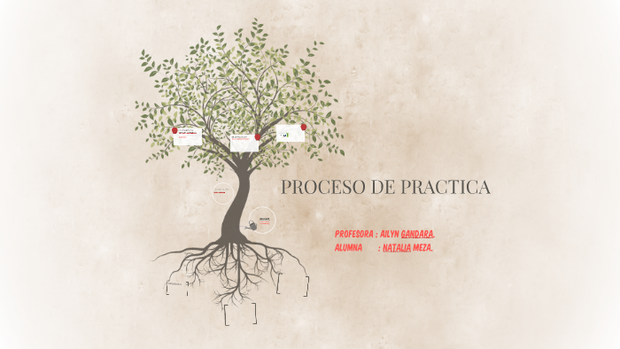 PROCESO DE PRACTICA by natalia meza on Prezi