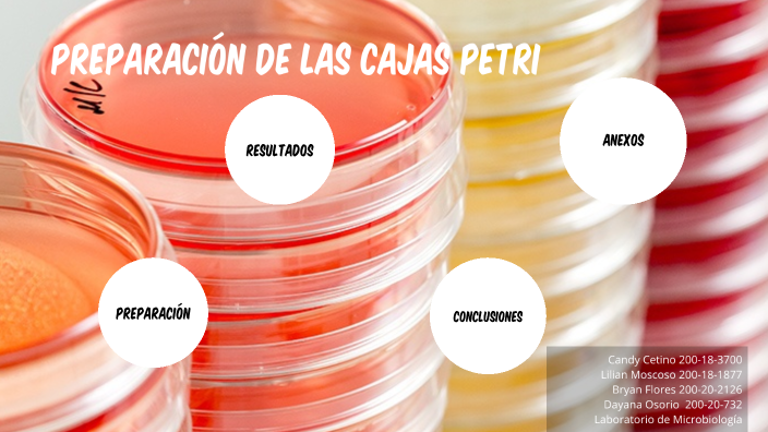 Preparación de las cajas petri by Candy Ramirez on Prezi