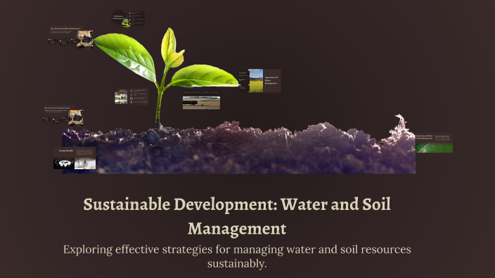 Sustainable Development: Water and Soil Management by Fergus jr ...