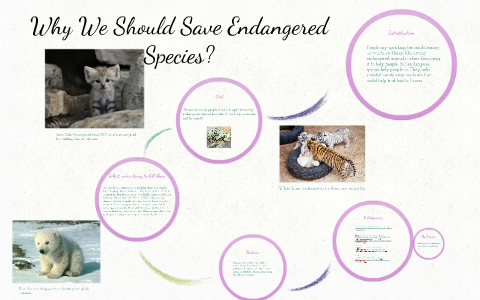 Why We Should Save Endangered Species? by Ellie Bender on Prezi