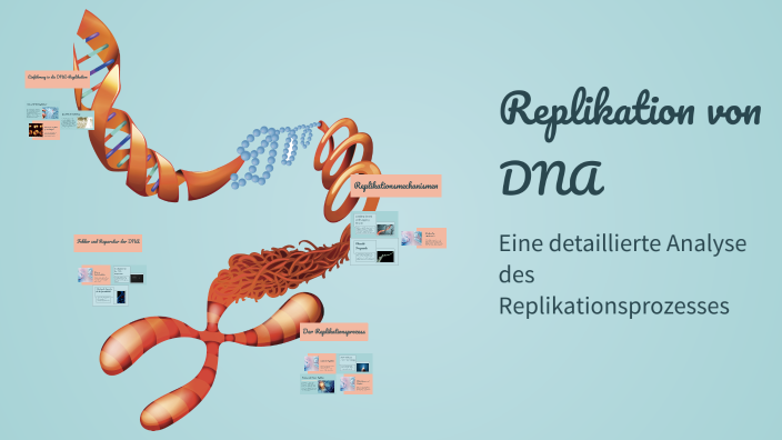 Replikation von DNA by Tim Mark on Prezi