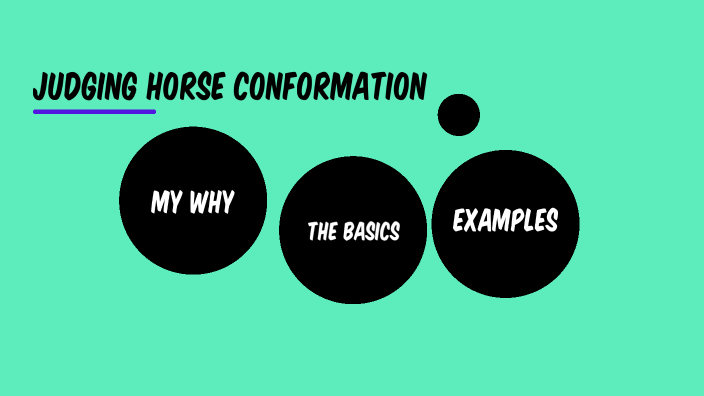 How To Judge Horse Conformation