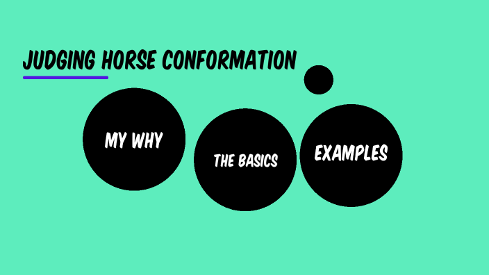How To Judge Horse Conformation By Jenna Wozniak On Prezi
