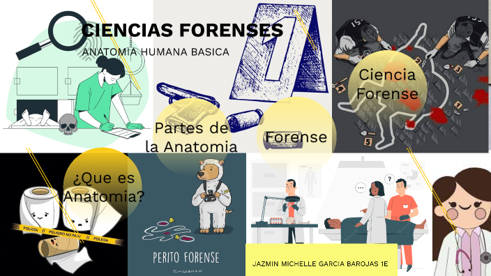 CIENCIAS FORENSES By Jazmin Michelle On Prezi