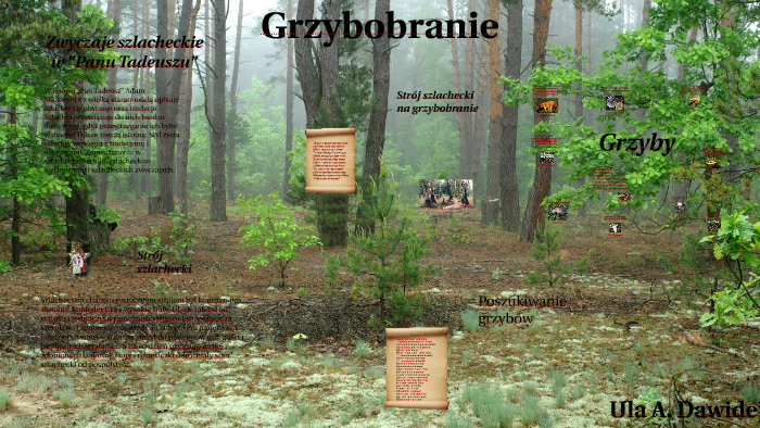 Strój Na Grzybobranie Pan Tadeusz Pan Tadeusz Grzybobranie by Ula Dawidejt on Prezi