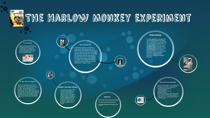 harlow monkey experiment quizlet