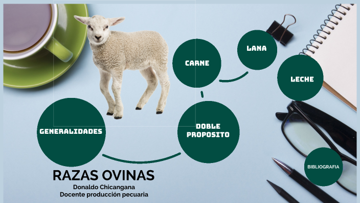 RAZAS OVINAS By Donaldo Chicangana On Prezi