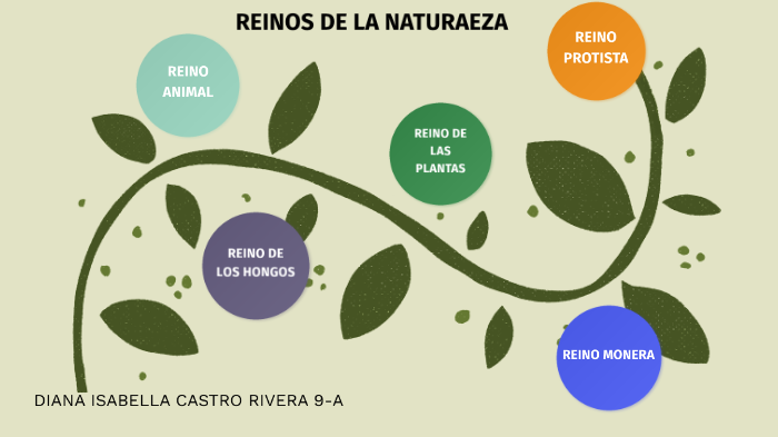 REINOS DE LA NATURALEZA by diana isabella castro rivera on Prezi