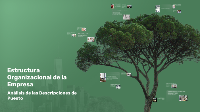 Estructura Organizacional de la Empresa by Luis Uicab on Prezi